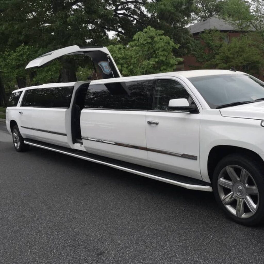 How to set up tours with limousines