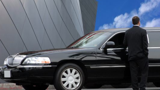Research Different Limousine Companies